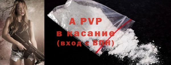 сатива Лихославль