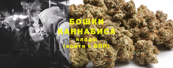 сатива Лихославль